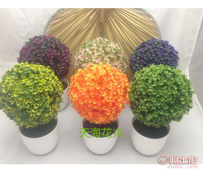 【天?；ɑ芊抡鏅蜒┣蚺柙耘杈靶浯芭_擱板擺件道具真樹花球草球】濟南市天橋區(qū)天海花卉商行 - 產(chǎn)品庫